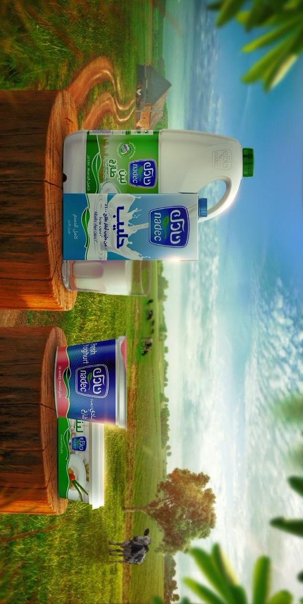 Snapshots of our work with our latest clients Snapshots of our work with our latest clients